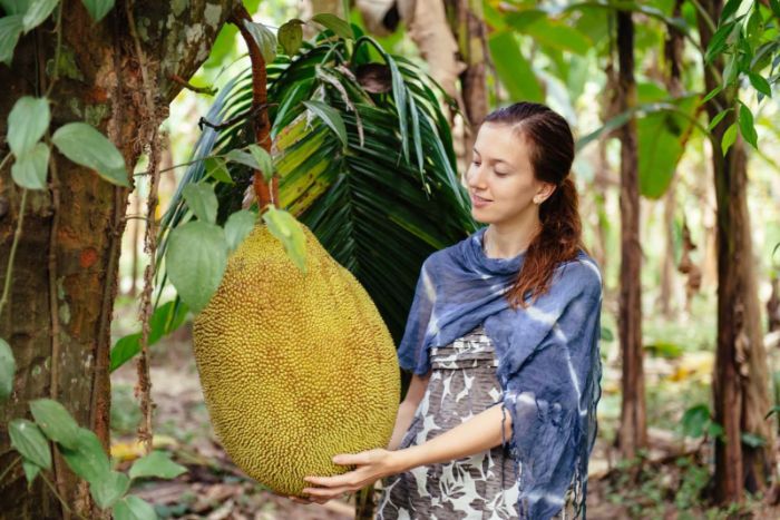 Nằm mơ thấy hình ảnh quả mít, có thể do rất nhiều lý do khác nhau