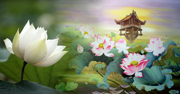 mo-thay-hoa-sen-1
